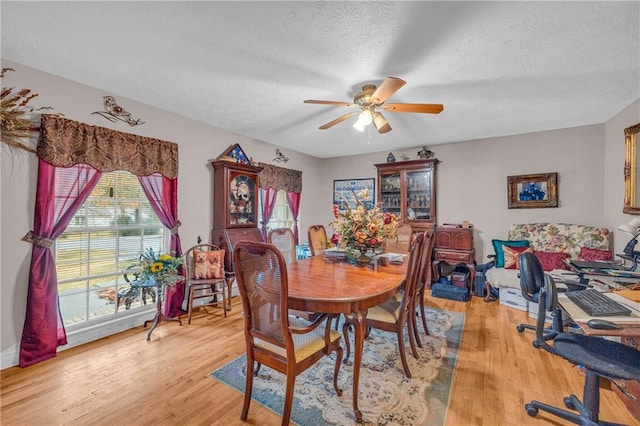 dining space with ceiling fan, hardwood / wood-style floors, and a textured ceiling