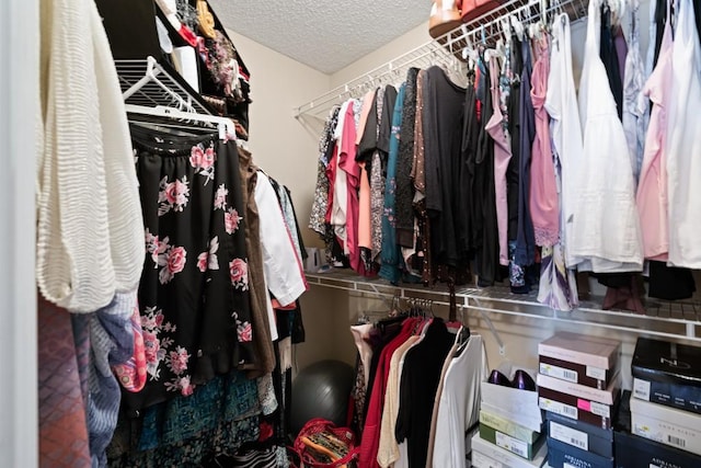 view of spacious closet