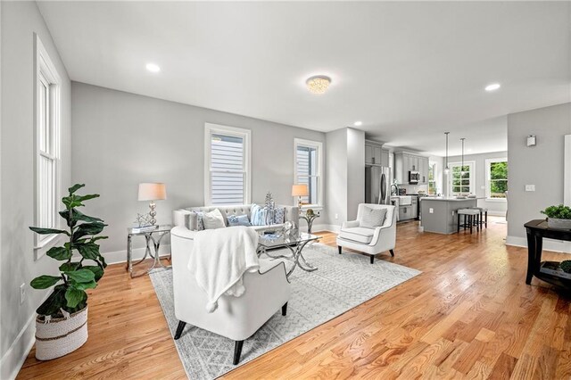 living room with light hardwood / wood-style flooring