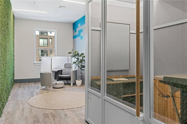 bathroom featuring wood-type flooring