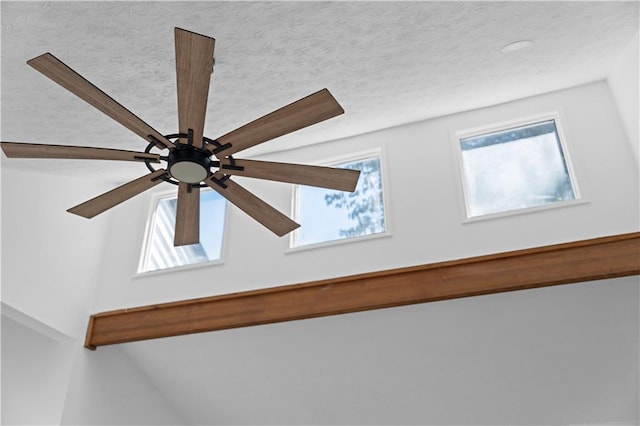 details with a textured ceiling