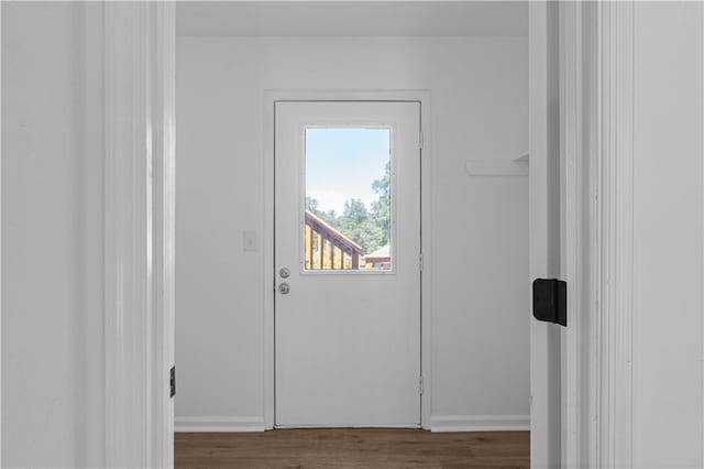 entryway featuring dark wood-type flooring