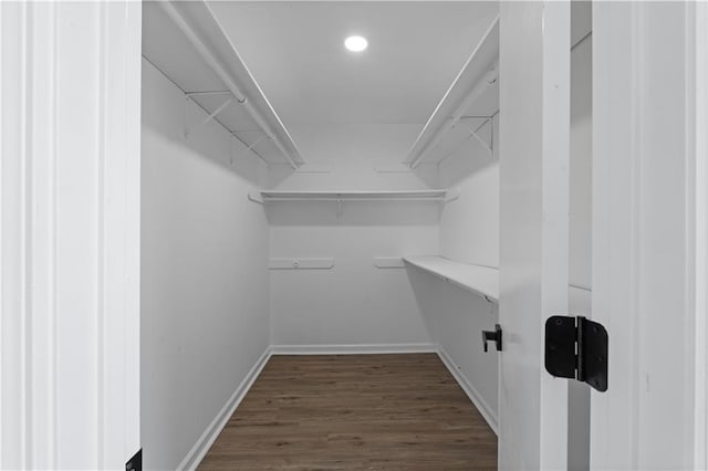 spacious closet featuring dark hardwood / wood-style floors