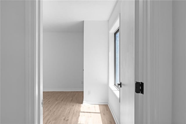 corridor featuring plenty of natural light and light hardwood / wood-style flooring