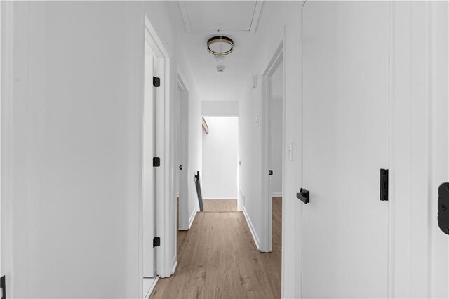 corridor featuring light hardwood / wood-style flooring