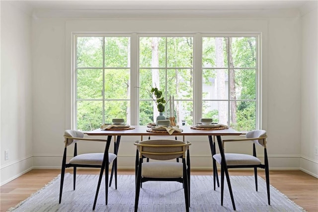 dining room with light wood finished floors, baseboards, and a healthy amount of sunlight