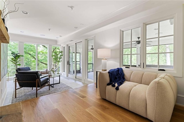 living room with ceiling fan and wood finished floors
