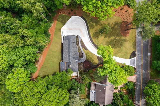 bird's eye view