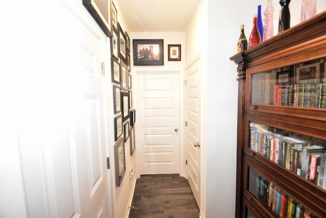 hallway featuring dark wood-type flooring