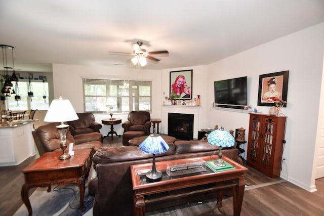 living room with ceiling fan and hardwood / wood-style flooring