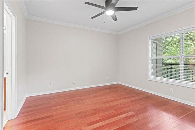 empty room featuring hardwood / wood-style floors, ceiling fan, and crown molding