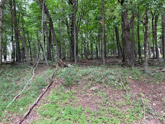 1918 Big Stump Mountain Trl, Jasper GA, 30143 land for sale