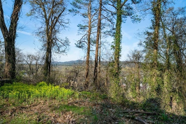 111 Lookout Cir SW, Rome GA, 30161 land for sale