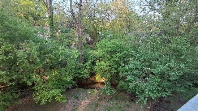 340 Teal Ct, Roswell, GA 30076 - view of undeveloped land