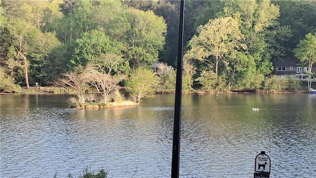 340 Teal Ct, Roswell, GA 30076 - water view featuring a heavily wooded area