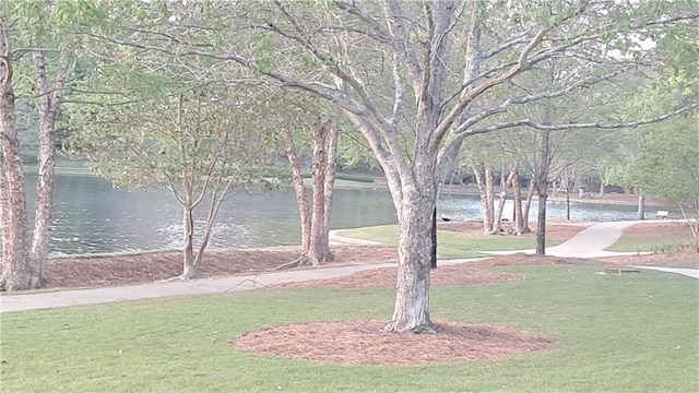 340 Teal Ct, Roswell, GA 30076 - view of property's community featuring a lawn and a water view