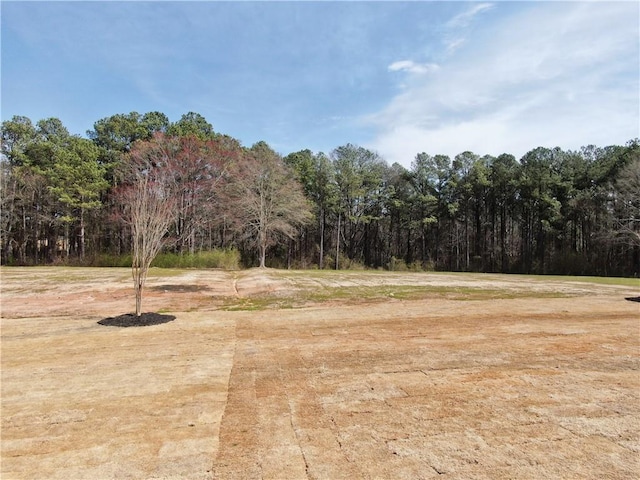 view of yard with a forest view