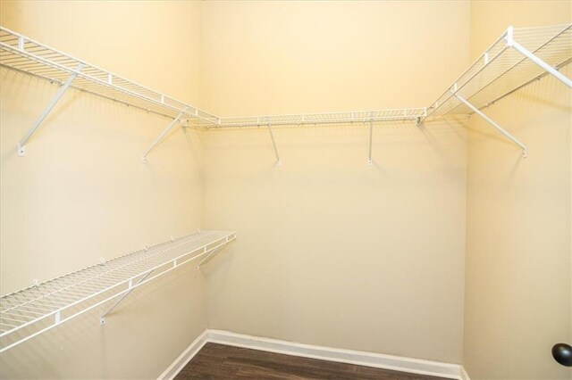 610 Sunflower Dr, Canton, GA 30114 - spacious closet with dark wood-style floors