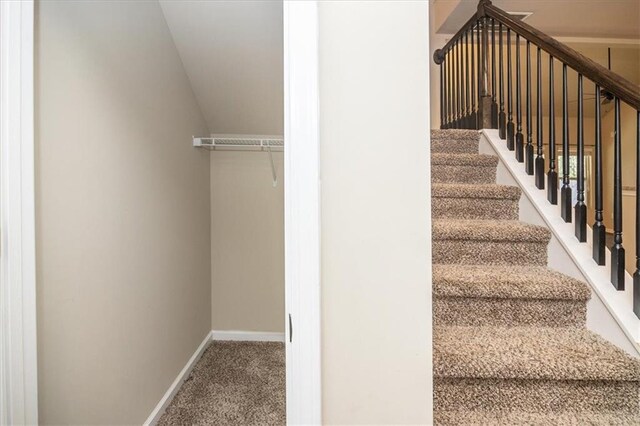 610 Sunflower Dr, Canton, GA 30114 - stairway with baseboards, carpet floors, and lofted ceiling