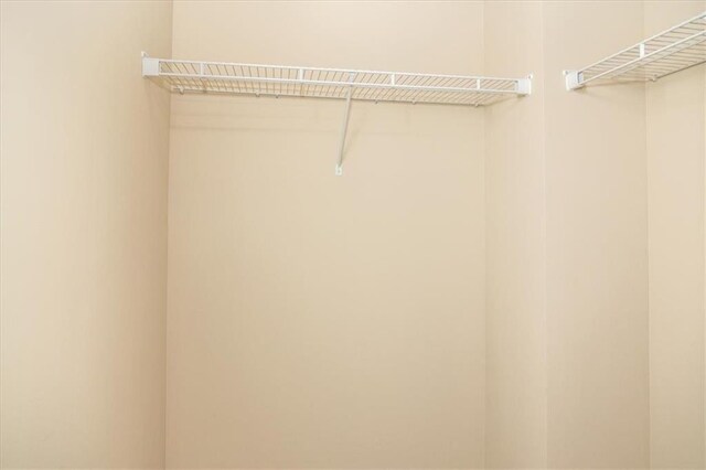 610 Sunflower Dr, Canton, GA 30114 - view of walk in closet
