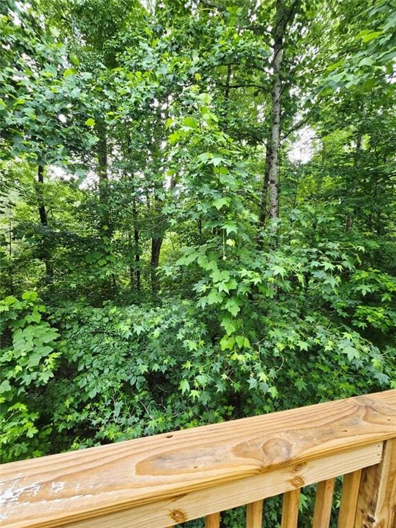 204 Twin Pines Ct, Dallas, GA 30132 - exterior view