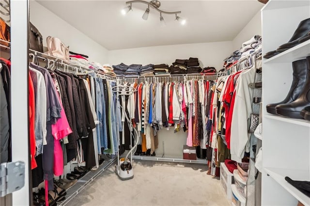 spacious closet featuring carpet flooring