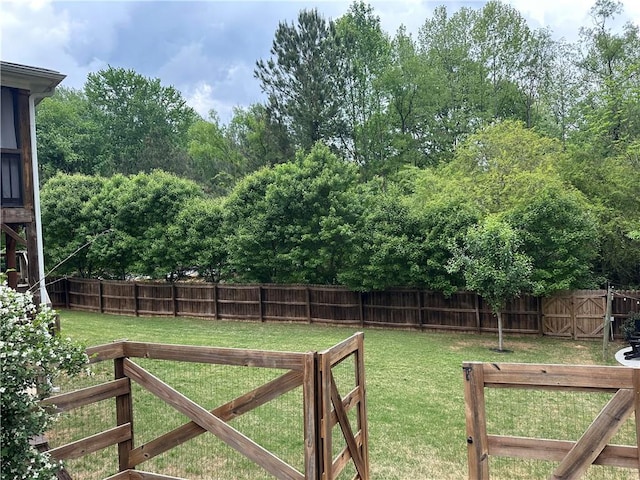 view of yard with a fenced backyard