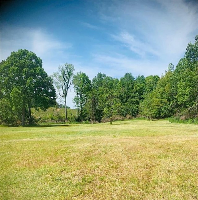 3475 County Road 29, Wedowee AL, 36264 land for sale