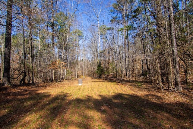 0 Kings Gap Rd, Hamilton GA, 31811 land for sale