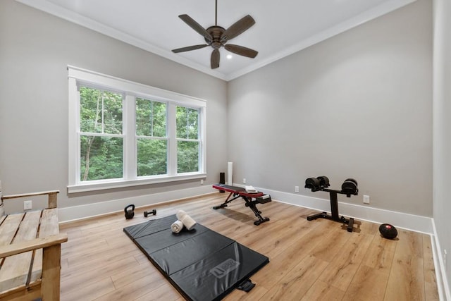 exercise area featuring light hardwood / wood-style floors, ceiling fan, and crown molding