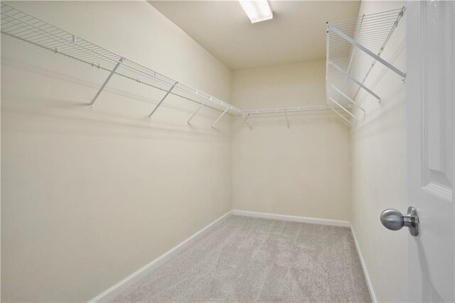 walk in closet featuring light colored carpet