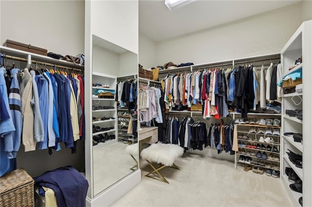 3005 Evelyn Ln, Alpharetta, GA 30004 - spacious closet with carpet