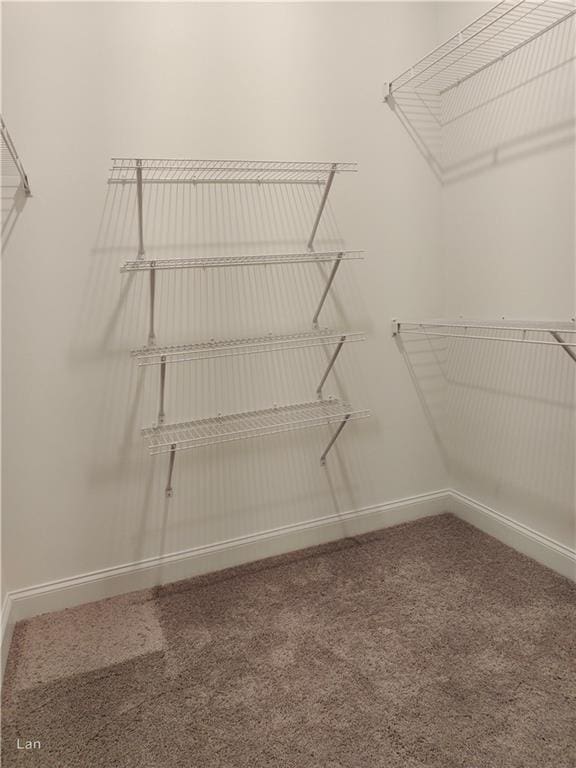 walk in closet with carpet