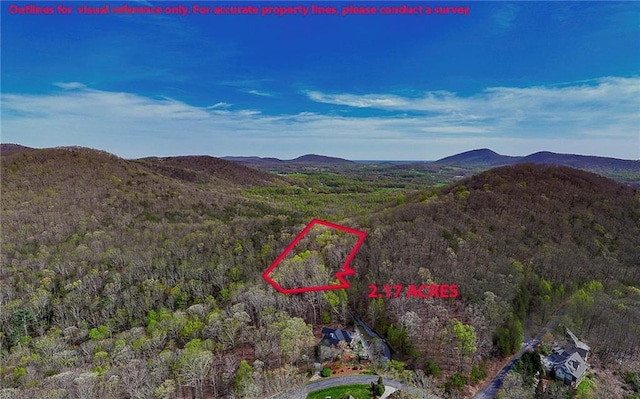 000 Teel Mountain Way, Cleveland, GA 30528