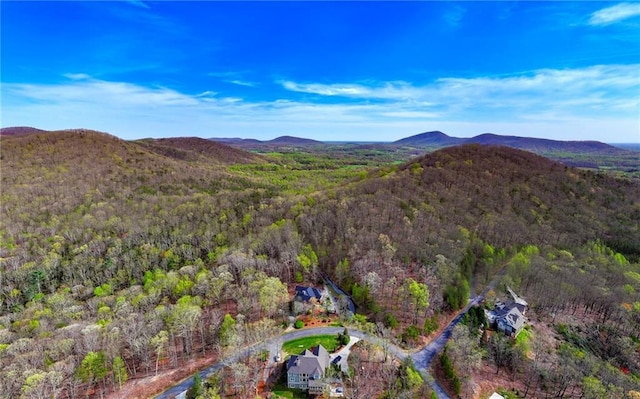 000 Teel Mountain Way, Cleveland, GA 30528