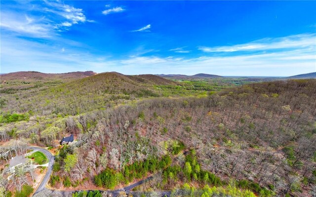 000 Teel Mountain Way, Cleveland, GA 30528