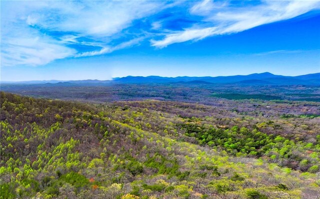 000 Teel Mountain Way, Cleveland, GA 30528