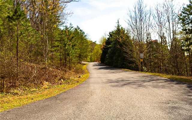 000 Teel Mountain Way, Cleveland, GA 30528
