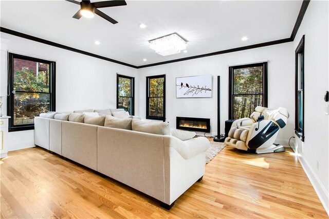 living room with light wood-type flooring, ornamental molding, ceiling fan, and a healthy amount of sunlight