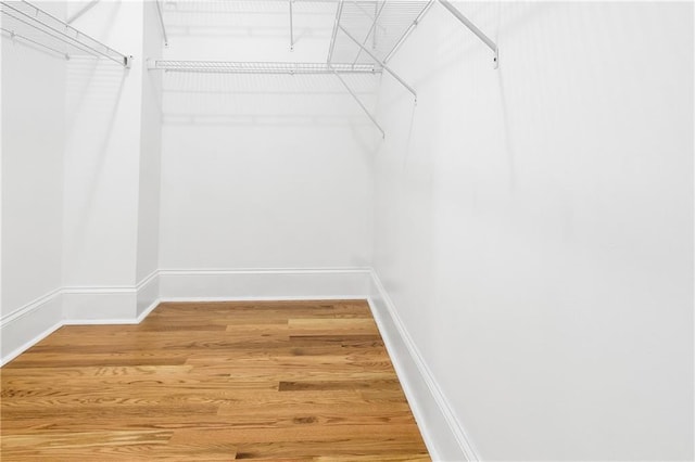 walk in closet with hardwood / wood-style flooring