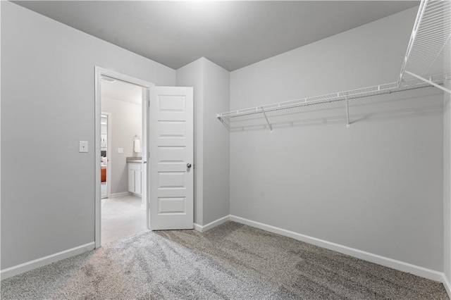 walk in closet with carpet floors