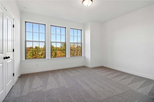 carpeted empty room with plenty of natural light