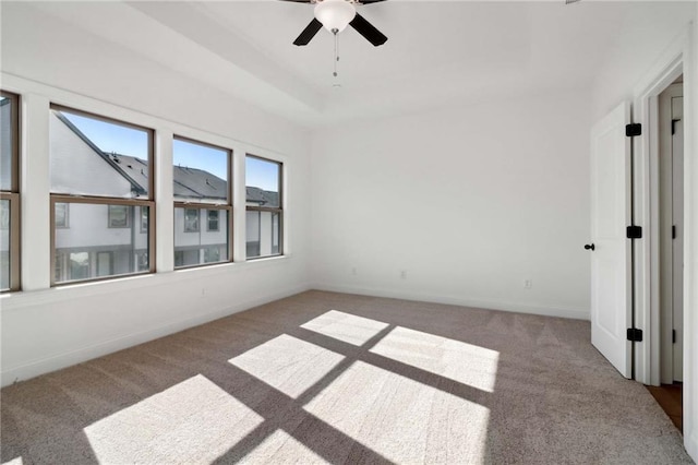 interior space with a raised ceiling and carpet flooring