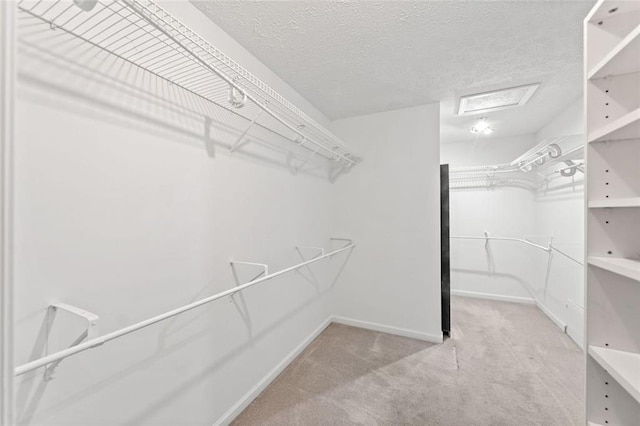 2140 Old Orchard Ln, Canton, GA 30114 - spacious closet with carpet flooring and attic access