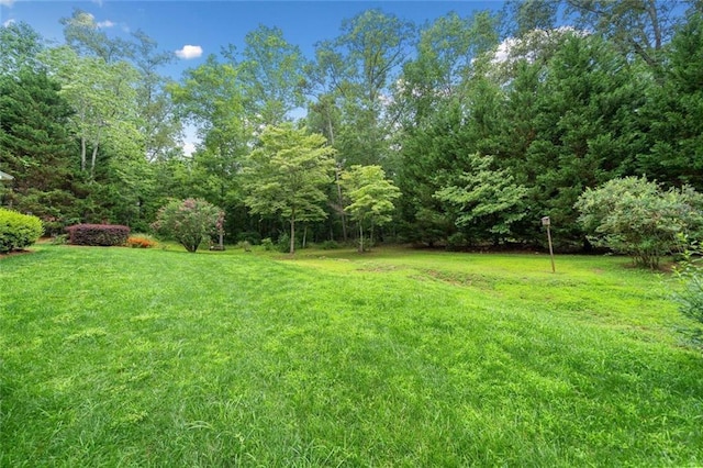 2140 Old Orchard Ln, Canton, GA 30114 - view of green lawn