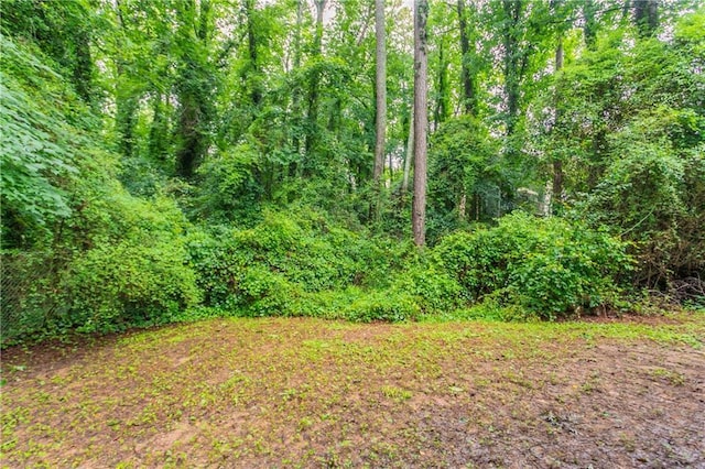 740 Stoneside Ct, Stone Mountain, GA 30083 - view of yard featuring a view of trees