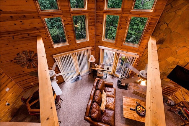 interior space with carpet flooring and high vaulted ceiling