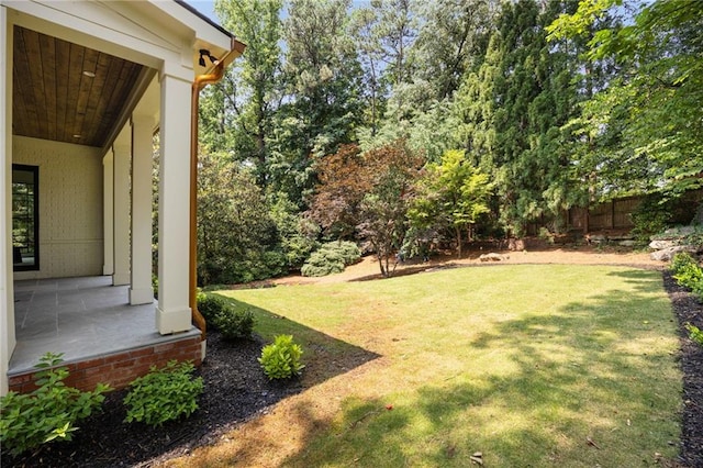 3292 Lenox Pl NE, Atlanta, GA 30324 - view of yard