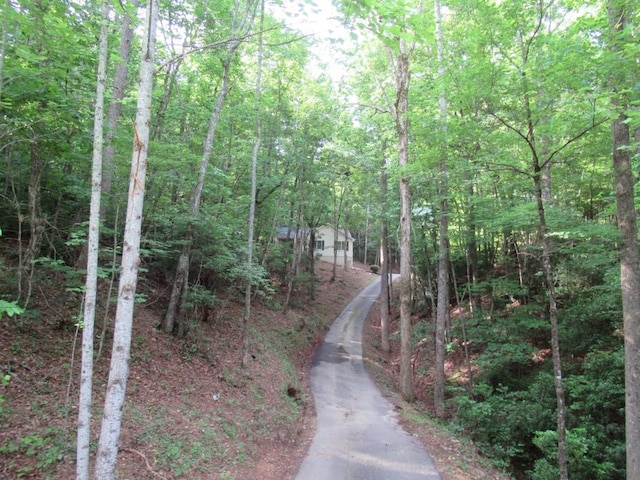 152 Royal Oaks Ln, Dahlonega, GA 30533 - view of asphalt driveway featuring a view of trees
