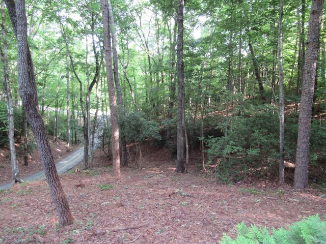 152 Royal Oaks Ln, Dahlonega, GA 30533 - view of woods